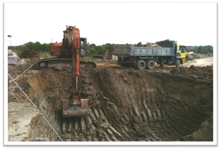 The Seed Swimming Pool